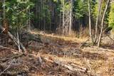 718 Slippery Slope Lot 2 - Photo 2