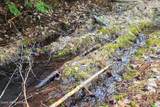 718 Slippery Slope Lot 2 - Photo 3