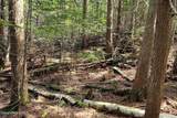 718 Slippery Slope Lot 2 - Photo 5