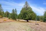 6162 Eureka Rd - Photo 89