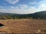  Treetop Ln - Photo 2
