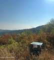  Treetop Ln - Photo 5