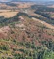  Treetop Ln - Photo 8