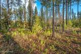 Lot 1 Reeder Bay Road - Photo 11