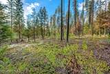 Lot 1 Reeder Bay Road - Photo 13