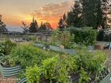 7801 Eagle Ridge Rd - Photo 107