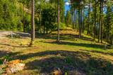  Wildflower Way - Photo 11