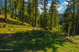  Wildflower Way - Photo 12