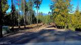  Wildflower Way - Photo 14