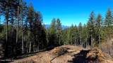  Wildflower Way - Photo 15