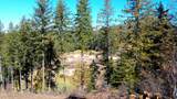  Wildflower Way - Photo 16