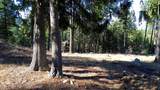  Wildflower Way - Photo 23