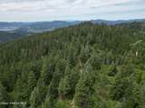 NKA Initial Peak Rd - Photo 14