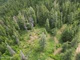 NKA Initial Peak Rd - Photo 15