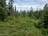 NKA Initial Peak Rd - Photo 16