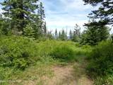 NKA Initial Peak Rd - Photo 17