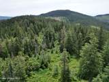 NKA Initial Peak Rd - Photo 5