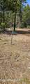 258 Nitty Gritty Ln - Photo 10