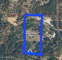 258 Nitty Gritty Ln - Photo 3