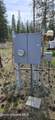 258 Nitty Gritty Ln - Photo 4