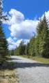 127 Lions Rd - Photo 10