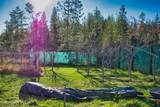 295 Glacier Rd - Photo 28