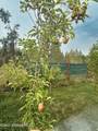 295 Glacier Rd - Photo 36