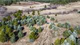 NNA Coon Creek Road - Photo 14