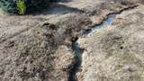 NNA Coon Creek Road - Photo 18