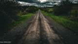 NNA Coon Creek Road - Photo 2