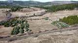 NNA Coon Creek Road - Photo 20