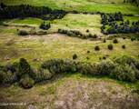 NNA Coon Creek Road - Photo 6
