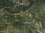 NKA Palomino Dr 10 Acres - Photo 11