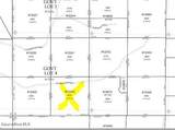 NKA Palomino Dr 10 Acres - Photo 12