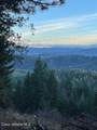 NKA Palomino Dr 10 Acres - Photo 2