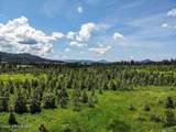 NNA Sonora Sky Parcel 6 Rd - Photo 7