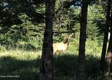 24102 Derting Rd - Photo 100