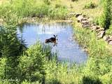 24102 Derting Rd - Photo 91