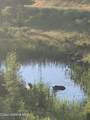 24102 Derting Rd - Photo 93