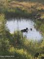 24102 Derting Rd - Photo 94