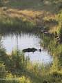 24102 Derting Rd - Photo 95
