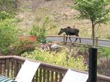 24102 Derting Rd - Photo 97