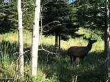 24102 Derting Rd - Photo 98