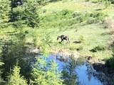 24102 Derting Rd - Photo 99