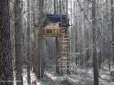 552 Outback Loop - Photo 30