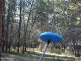552 Outback Loop - Photo 36