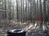 552 Outback Loop - Photo 37