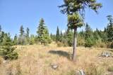 NNA Carpenter Creek Rd - Photo 2