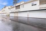 3654 Scotch Pine Ln - Photo 51