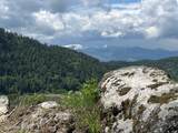 NNA Kirby Mt. ( East 5 Acres ) - Photo 5